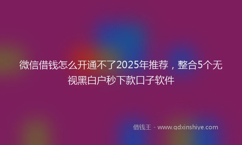 微信借钱怎么开通不了2025年推荐，整合5个无视黑白户秒下款口子软件