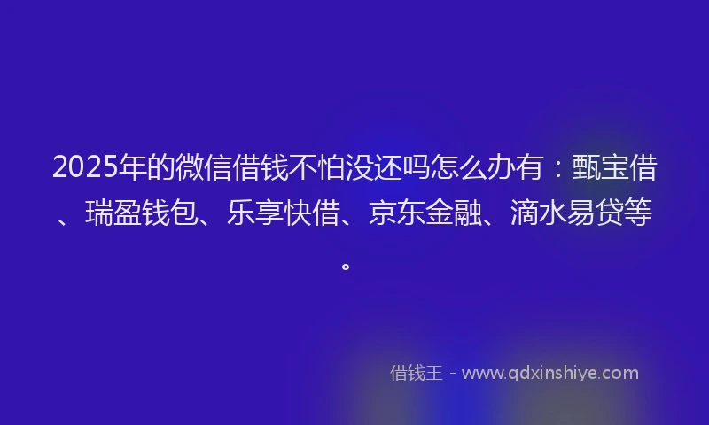 2025年的微信借钱不怕没还吗怎么办有：甄宝借、瑞盈钱包、乐享快借、京东金融、滴水易贷等。