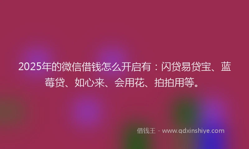 2025年的微信借钱怎么开启有：闪贷易贷宝、蓝莓贷、如心来、会用花、拍拍用等。