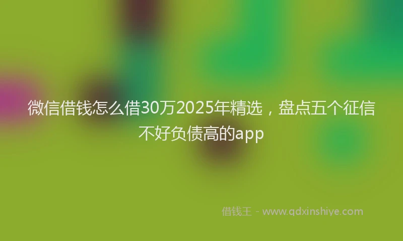 微信借钱怎么借30万2025年精选，盘点五个征信不好负债高的app