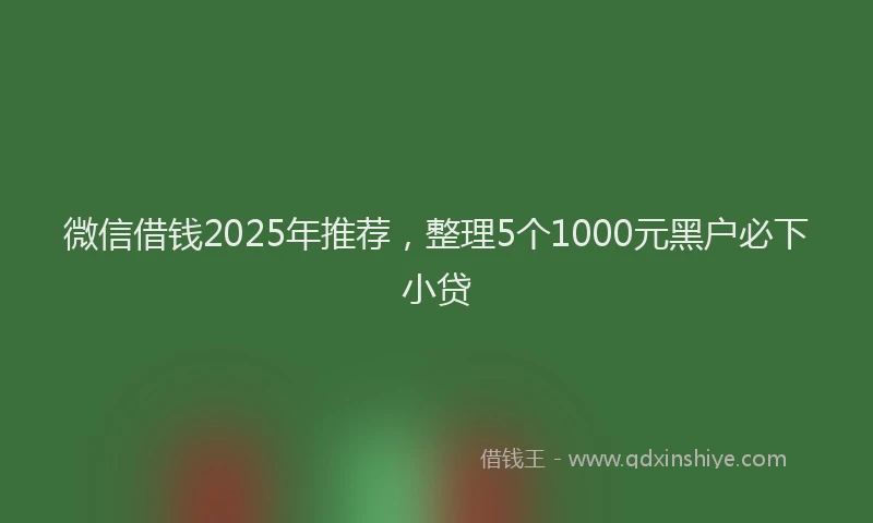 微信借钱2025年推荐，整理5个1000元黑户必下小贷
