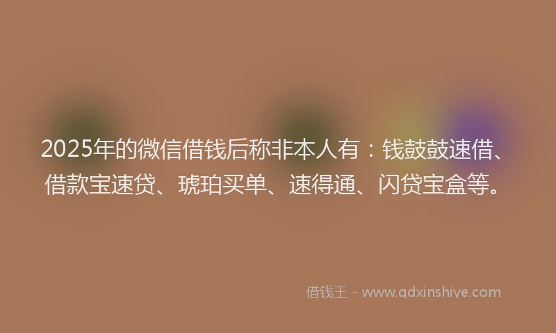 2025年的微信借钱后称非本人有：钱鼓鼓速借、借款宝速贷、琥珀买单、速得通、闪贷宝盒等。