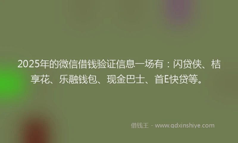 2025年的微信借钱验证信息一场有：闪贷侠、桔享花、乐融钱包、现金巴士、首E快贷等。