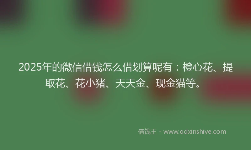 2025年的微信借钱怎么借划算呢有：橙心花、提取花、花小猪、天天金、现金猫等。