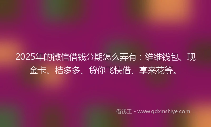 2025年的微信借钱分期怎么弄有：维维钱包、现金卡、桔多多、贷你飞快借、享来花等。