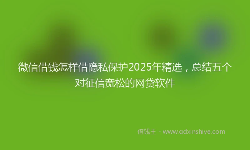 微信借钱怎样借隐私保护2025年精选，总结五个对征信宽松的网贷软件