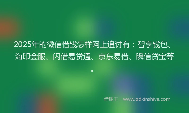 2025年的微信借钱怎样网上追讨有：智享钱包、海印金服、闪借易贷通、京东易借、瞬信贷宝等。