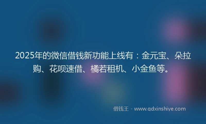 2025年的微信借钱新功能上线有：金元宝、朵拉购、花呗速借、橘若租机、小金鱼等。