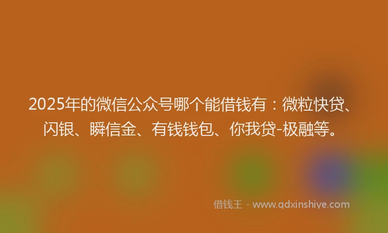 2025年的微信公众号哪个能借钱有：微粒快贷、闪银、瞬信金、有钱钱包、你我贷-极融等。
