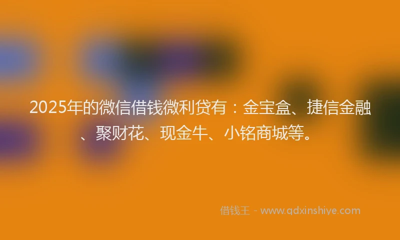 2025年的微信借钱微利贷有：金宝盒、捷信金融、聚财花、现金牛、小铭商城等。