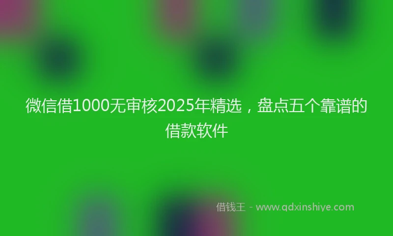 微信借1000无审核2025年精选，盘点五个靠谱的借款软件