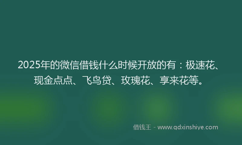 2025年的微信借钱什么时候开放的有：极速花、现金点点、飞鸟贷、玫瑰花、享来花等。