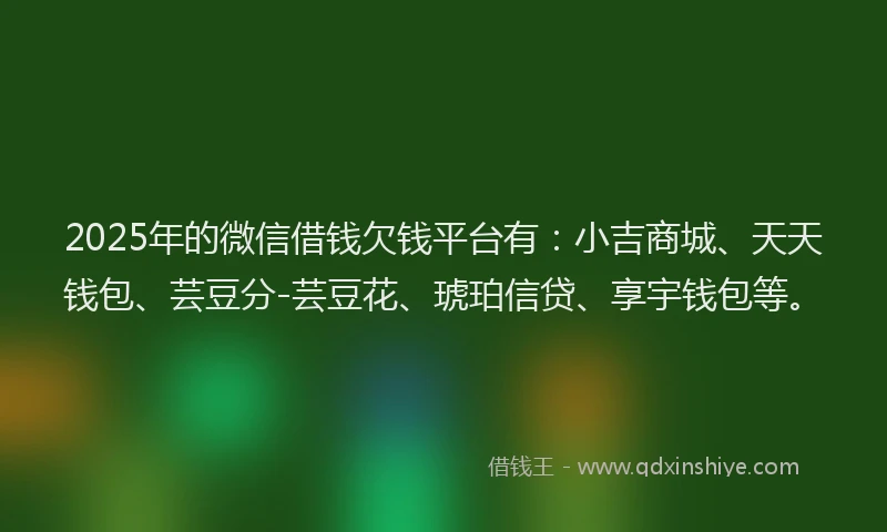 2025年的微信借钱欠钱平台有：小吉商城、天天钱包、芸豆分-芸豆花、琥珀信贷、享宇钱包等。