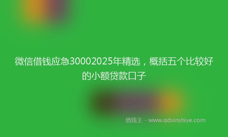 微信借钱应急30002025年精选，概括五个比较好的小额贷款口子
