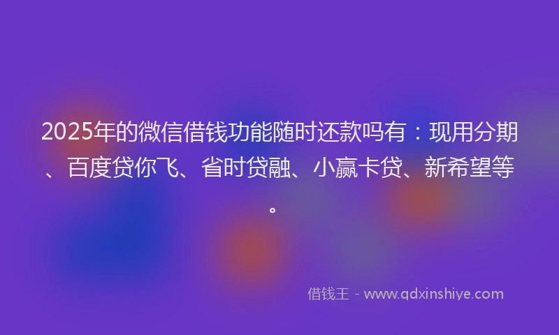 2025年的微信借钱功能随时还款吗有：现用分期、百度贷你飞、省时贷融、小赢卡贷、新希望等。