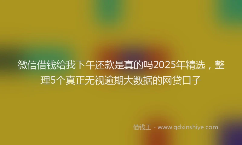 微信借钱给我下午还款是真的吗2025年精选，整理5个真正无视逾期大数据的网贷口子