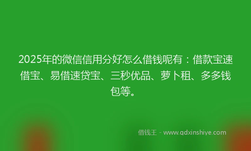 2025年的微信信用分好怎么借钱呢有：借款宝速借宝、易借速贷宝、三秒优品、萝卜租、多多钱包等。
