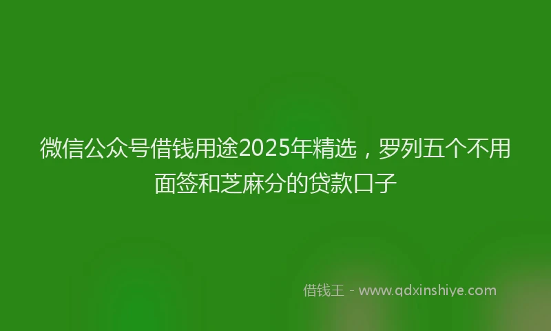 微信公众号借钱用途2025年精选，罗列五个不用面签和芝麻分的贷款口子