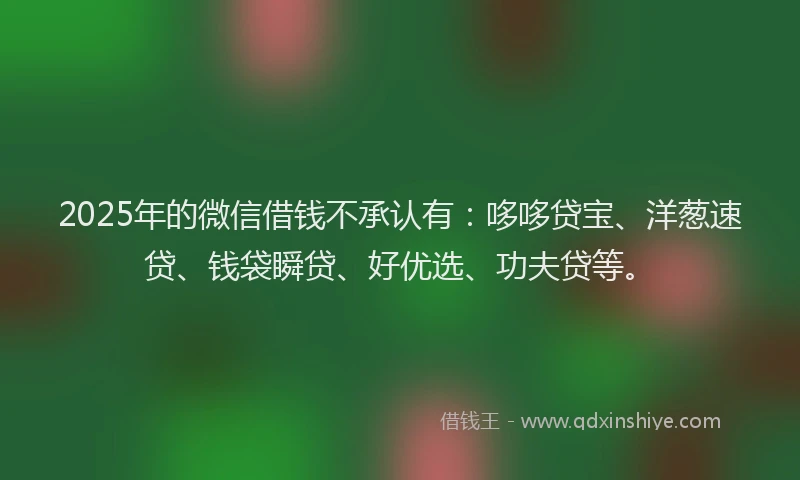 2025年的微信借钱不承认有：哆哆贷宝、洋葱速贷、钱袋瞬贷、好优选、功夫贷等。