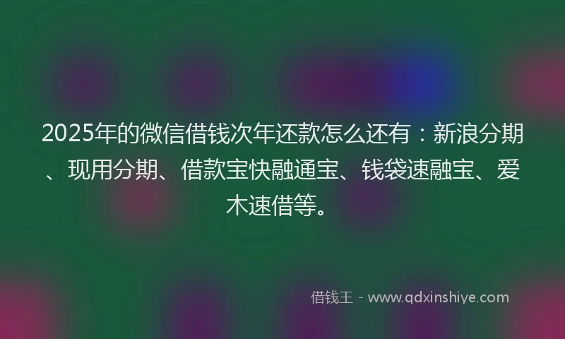 2025年的微信借钱次年还款怎么还有：新浪分期、现用分期、借款宝快融通宝、钱袋速融宝、爱木速借等。