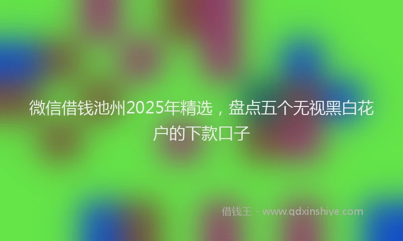 微信借钱池州2025年精选，盘点五个无视黑白花户的下款口子