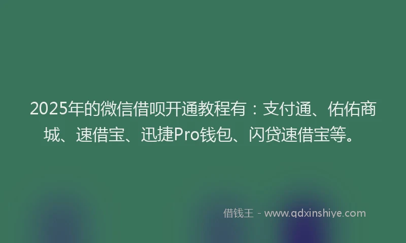 2025年的微信借呗开通教程有：支付通、佑佑商城、速借宝、迅捷Pro钱包、闪贷速借宝等。