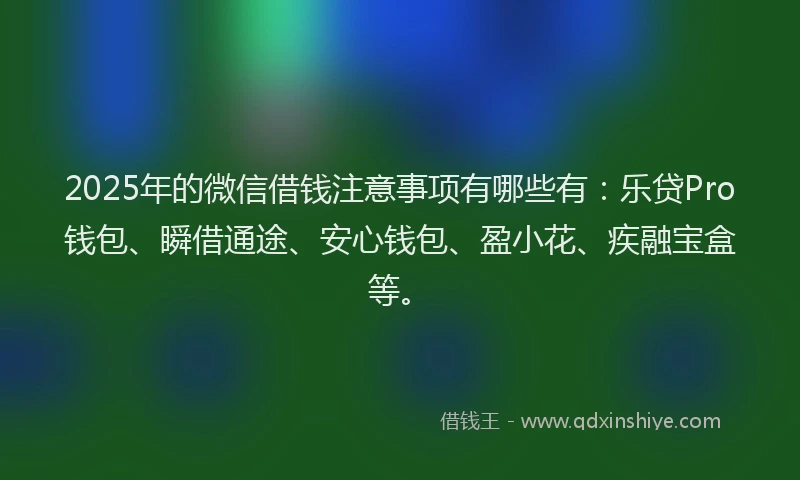 2025年的微信借钱注意事项有哪些有：乐贷Pro钱包、瞬借通途、安心钱包、盈小花、疾融宝盒等。