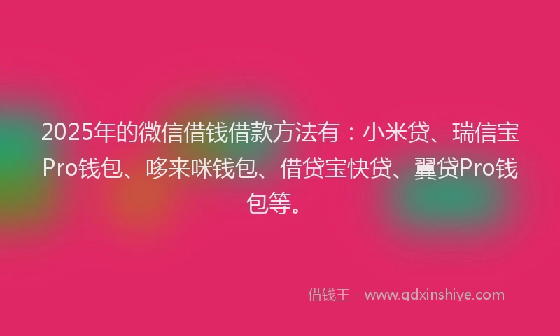 2025年的微信借钱借款方法有：小米贷、瑞信宝Pro钱包、哆来咪钱包、借贷宝快贷、翼贷Pro钱包等。