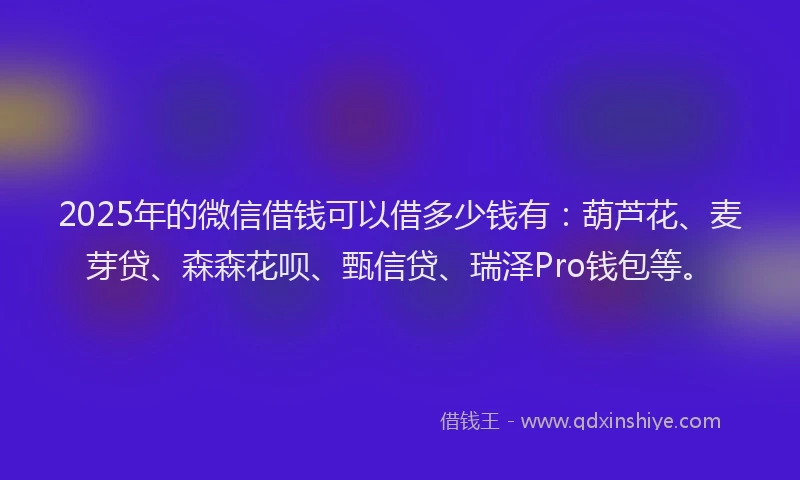 2025年的微信借钱可以借多少钱有：葫芦花、麦芽贷、森森花呗、甄信贷、瑞泽Pro钱包等。