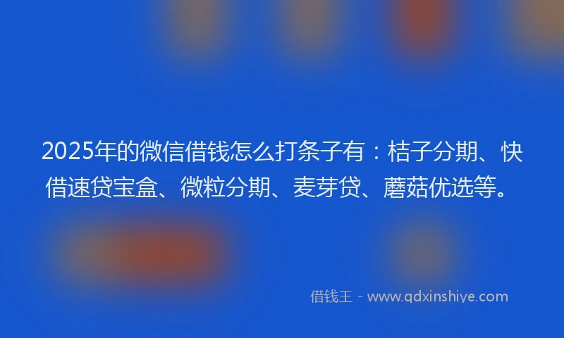 2025年的微信借钱怎么打条子有：桔子分期、快借速贷宝盒、微粒分期、麦芽贷、蘑菇优选等。