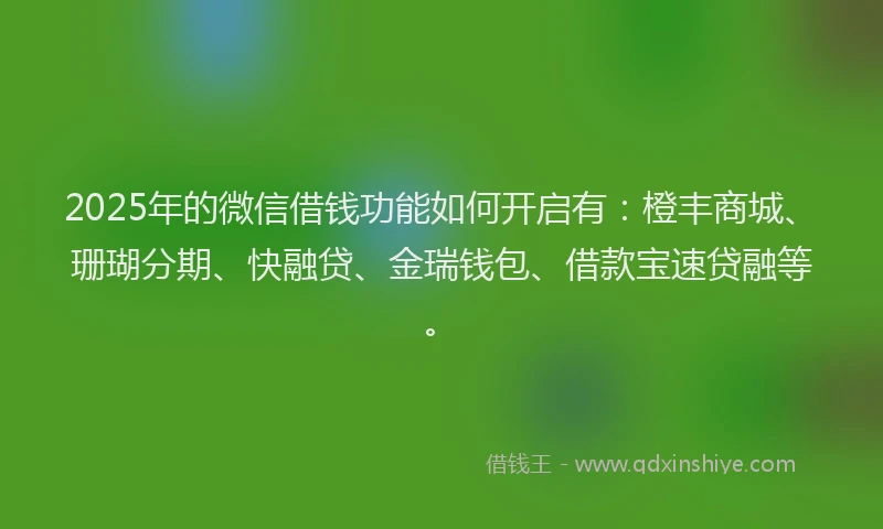 2025年的微信借钱功能如何开启有：橙丰商城、珊瑚分期、快融贷、金瑞钱包、借款宝速贷融等。