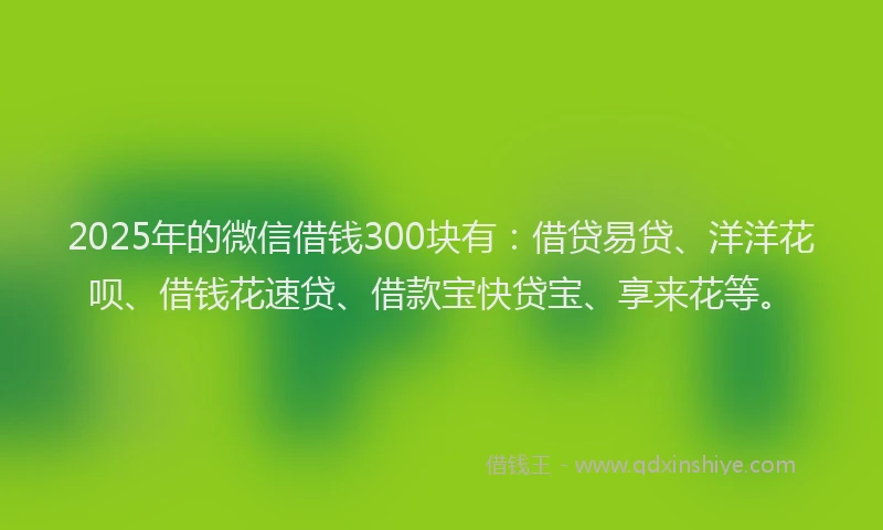 2025年的微信借钱300块有：借贷易贷、洋洋花呗、借钱花速贷、借款宝快贷宝、享来花等。