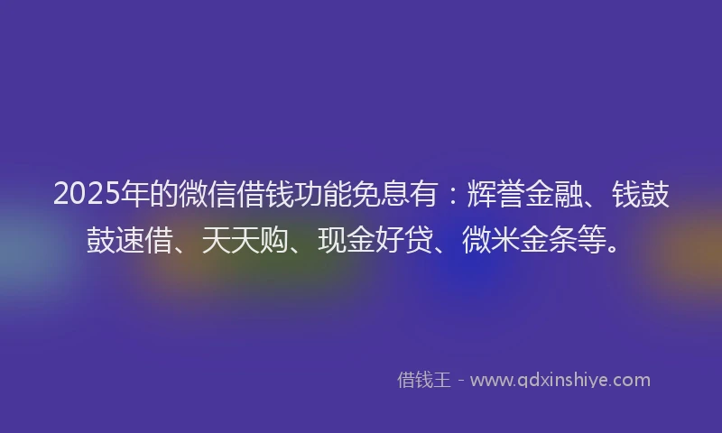 2025年的微信借钱功能免息有：辉誉金融、钱鼓鼓速借、天天购、现金好贷、微米金条等。