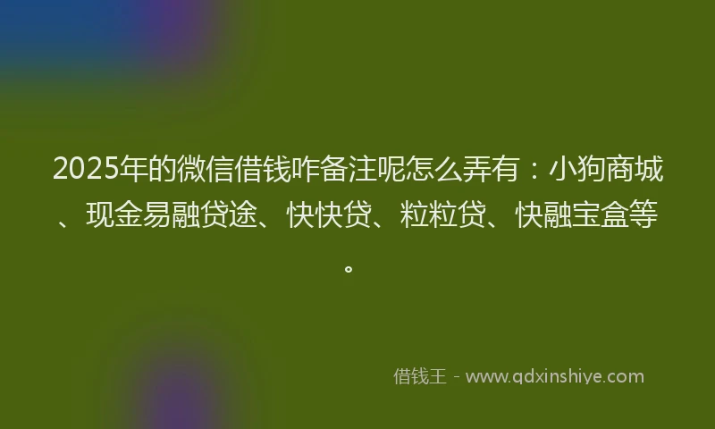 2025年的微信借钱咋备注呢怎么弄有：小狗商城、现金易融贷途、快快贷、粒粒贷、快融宝盒等。