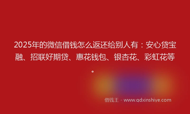 2025年的微信借钱怎么返还给别人有：安心贷宝融、招联好期贷、惠花钱包、银杏花、彩虹花等。