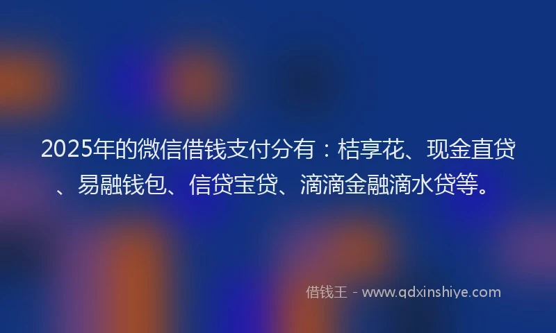 2025年的微信借钱支付分有：桔享花、现金直贷、易融钱包、信贷宝贷、滴滴金融滴水贷等。