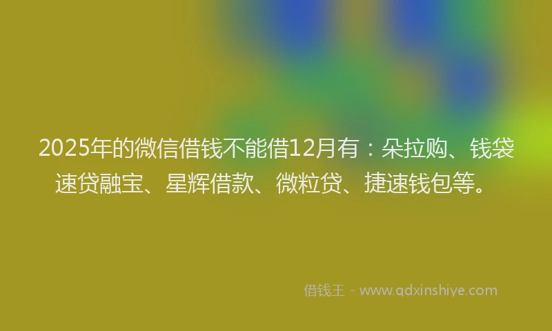 2025年的微信借钱不能借12月有：朵拉购、钱袋速贷融宝、星辉借款、微粒贷、捷速钱包等。