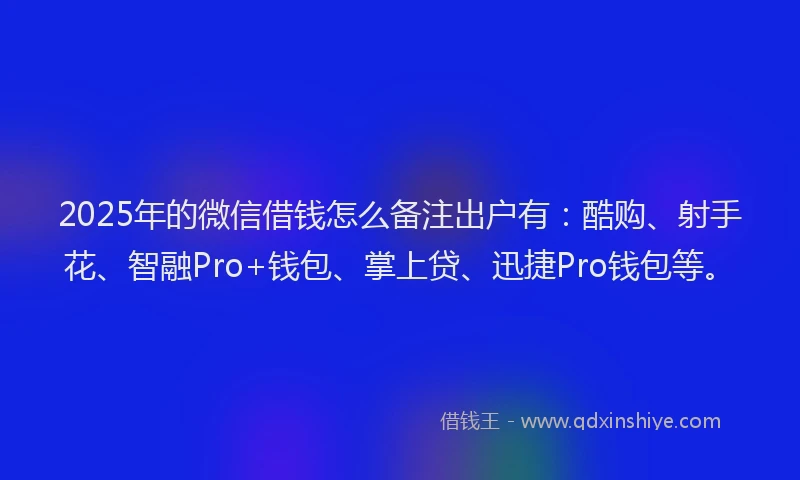 2025年的微信借钱怎么备注出户有：酷购、射手花、智融Pro+钱包、掌上贷、迅捷Pro钱包等。