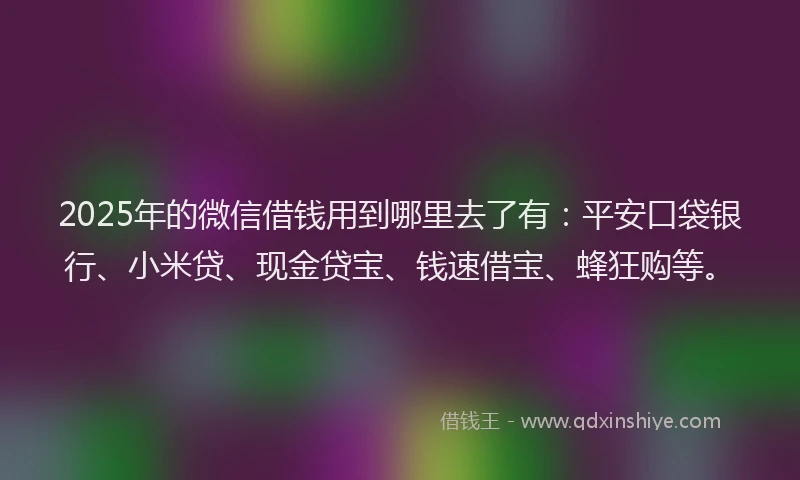 2025年的微信借钱用到哪里去了有：平安口袋银行、小米贷、现金贷宝、钱速借宝、蜂狂购等。