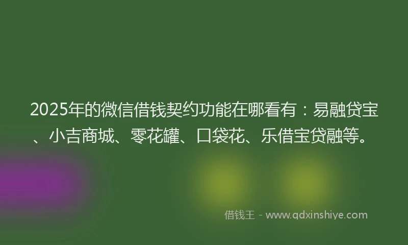 2025年的微信借钱契约功能在哪看有：易融贷宝、小吉商城、零花罐、口袋花、乐借宝贷融等。