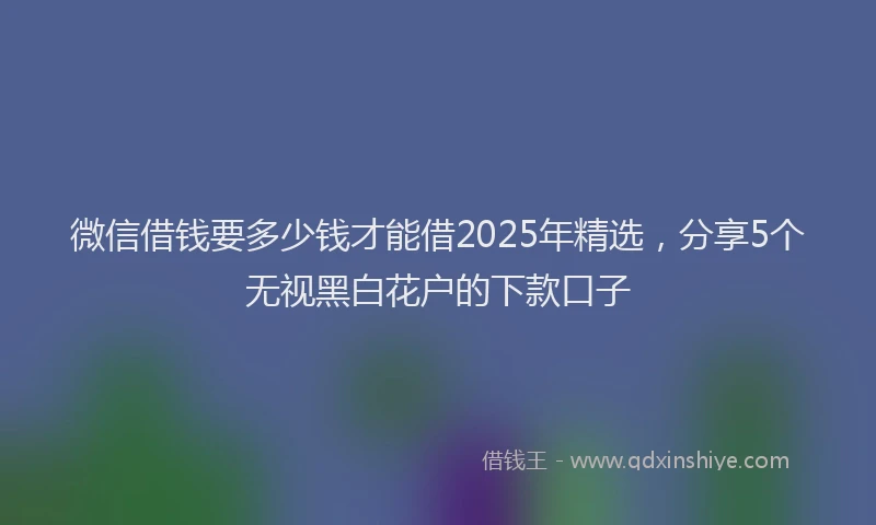 微信借钱要多少钱才能借2025年精选，分享5个无视黑白花户的下款口子
