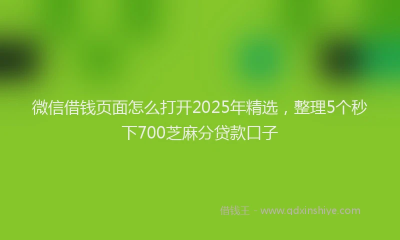 微信借钱页面怎么打开2025年精选，整理5个秒下700芝麻分贷款口子