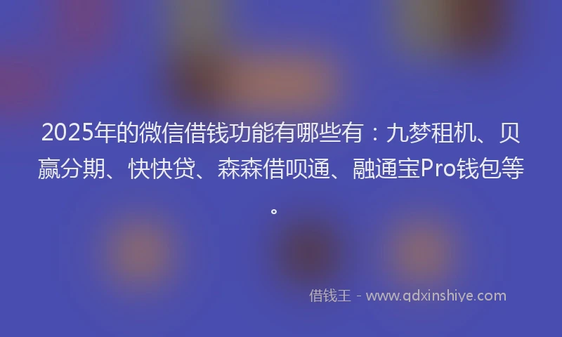 2025年的微信借钱功能有哪些有：九梦租机、贝赢分期、快快贷、森森借呗通、融通宝Pro钱包等。