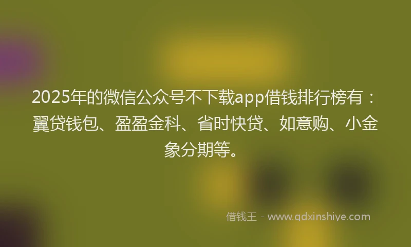 2025年的微信公众号不下载app借钱排行榜有：翼贷钱包、盈盈金科、省时快贷、如意购、小金象分期等。