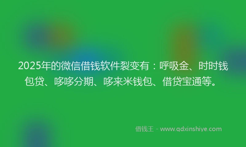 2025年的微信借钱软件裂变有：呼吸金、时时钱包贷、哆哆分期、哆来米钱包、借贷宝通等。