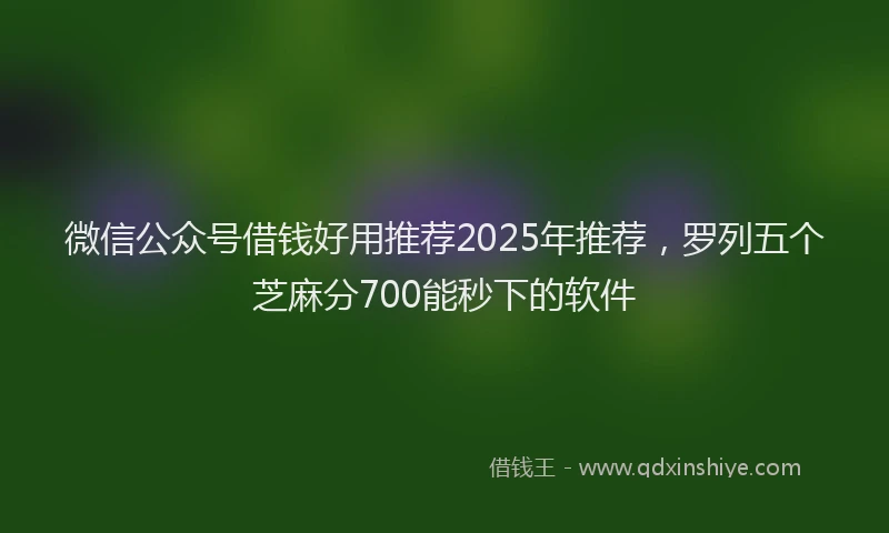 微信公众号借钱好用推荐2025年推荐，罗列五个芝麻分700能秒下的软件