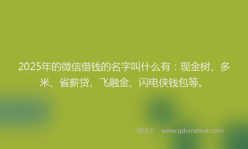 2025年的微信借钱的名字叫什么有：现金树、多米、省薪贷、飞融金、闪电侠钱包等。