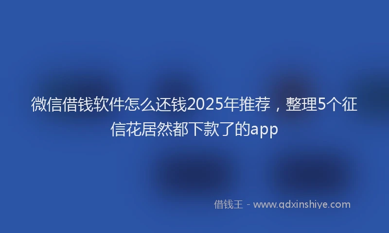 微信借钱软件怎么还钱2025年推荐，整理5个征信花居然都下款了的app