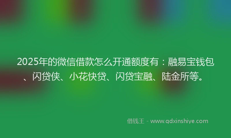2025年的微信借款怎么开通额度有：融易宝钱包、闪贷侠、小花快贷、闪贷宝融、陆金所等。