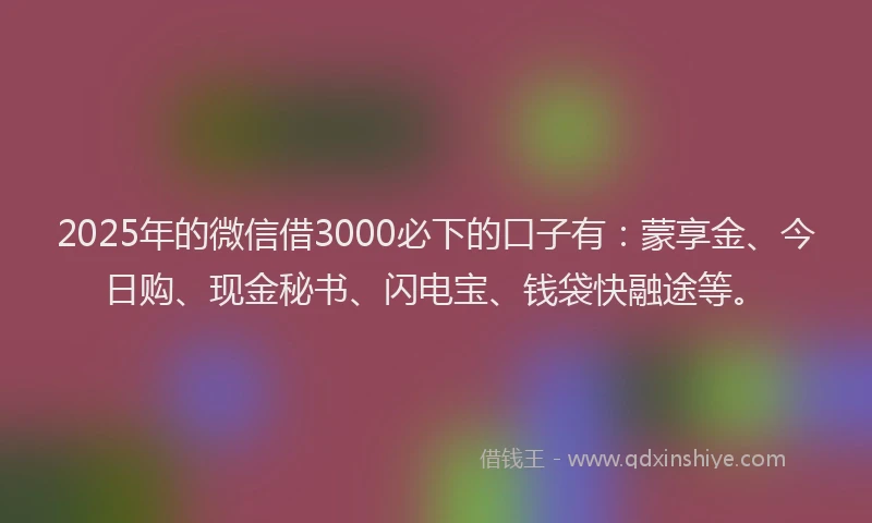 2025年的微信借3000必下的口子有：蒙享金、今日购、现金秘书、闪电宝、钱袋快融途等。